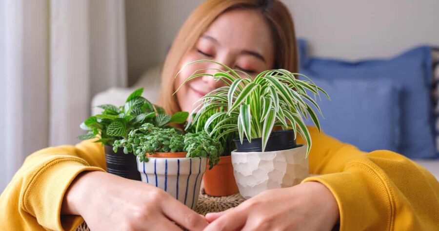 Woman hugging house plants, green thumb, decor