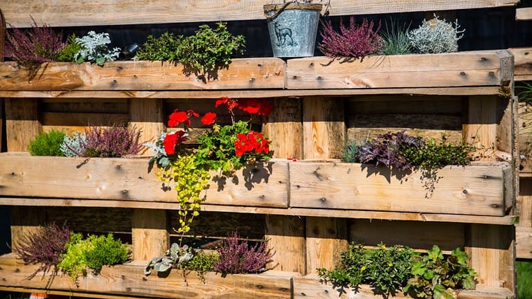 Wooden vertical garden with multiple shelves, red geraniums, green leafy plants, various potted flowers in rustic wooden planter