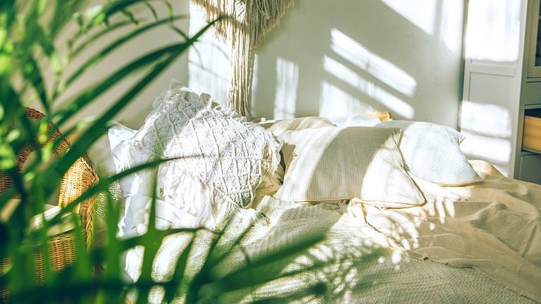 Cozy boho style sunny bedroom with close up of green fresh tropical houseplant palm leaves.