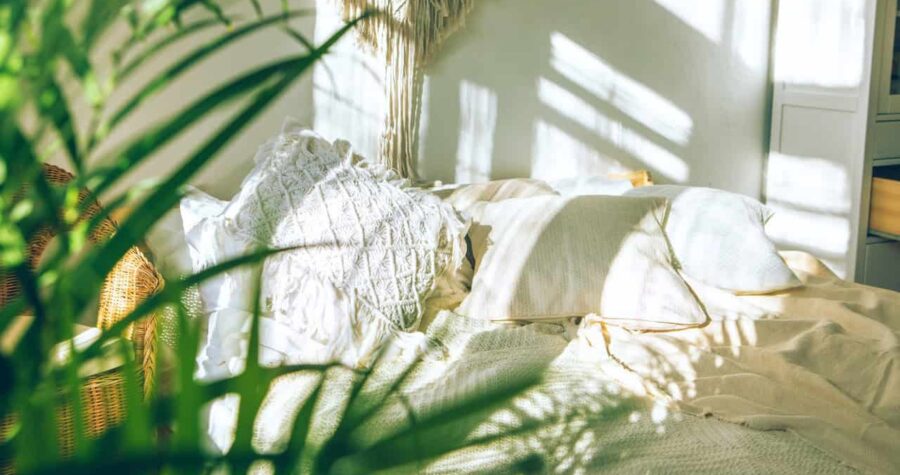 Cozy boho style sunny bedroom with close up of green fresh tropical houseplant palm leaves.