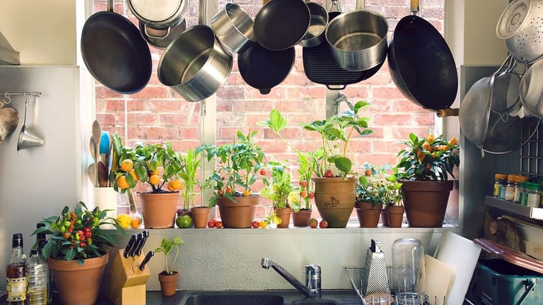 Saucepans hanging over sink against potted plants on window sill in domestic kitchen