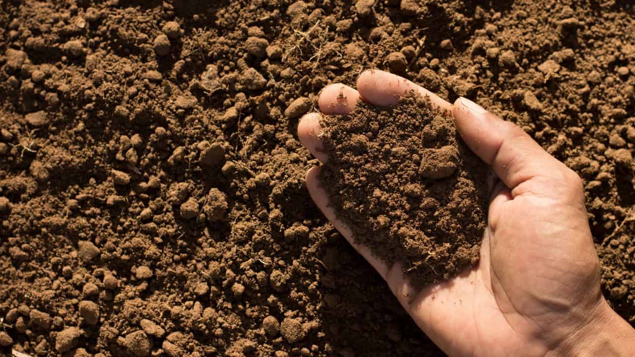 A hand holding loose, rich soil, with a background of freshly tilled earth, indicating soil quality, farming, or gardening preparation