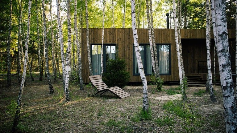 Small wooden modern house with big windows in the birch forest