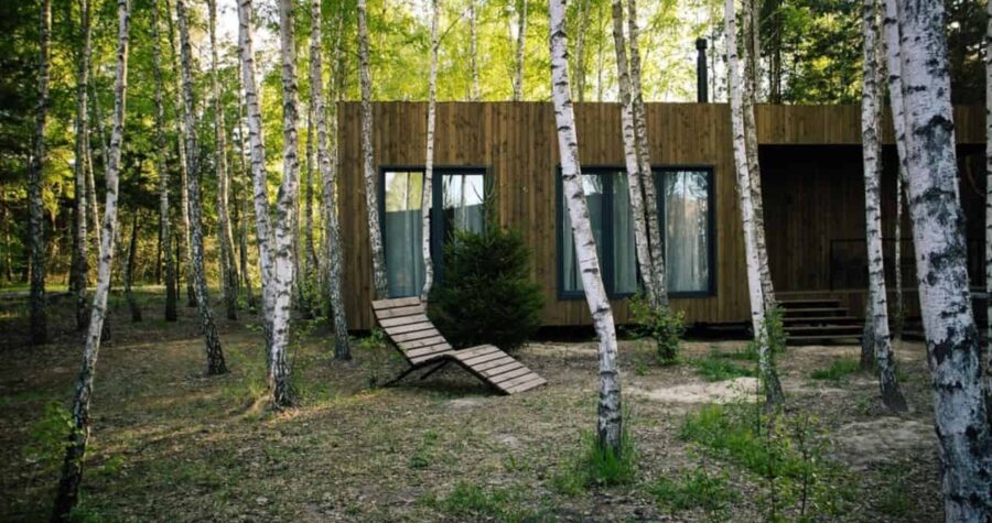 Small wooden modern house with big windows in the birch forest