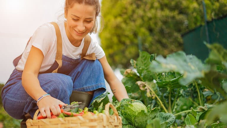 Young girl taking care of her vegetable garden - Concept of new organic business