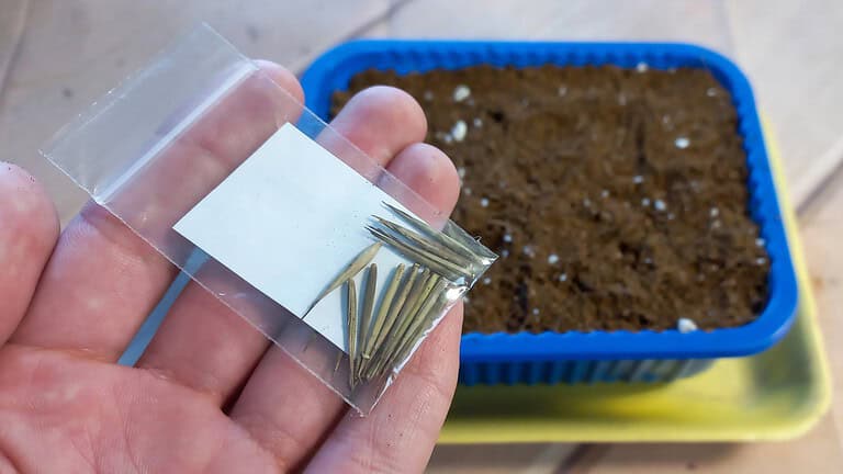 Planting These 8 Plants Could Get You Fined