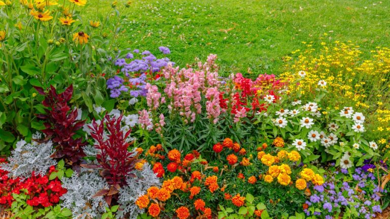17 Flower planting mistakes that cost you blooms
