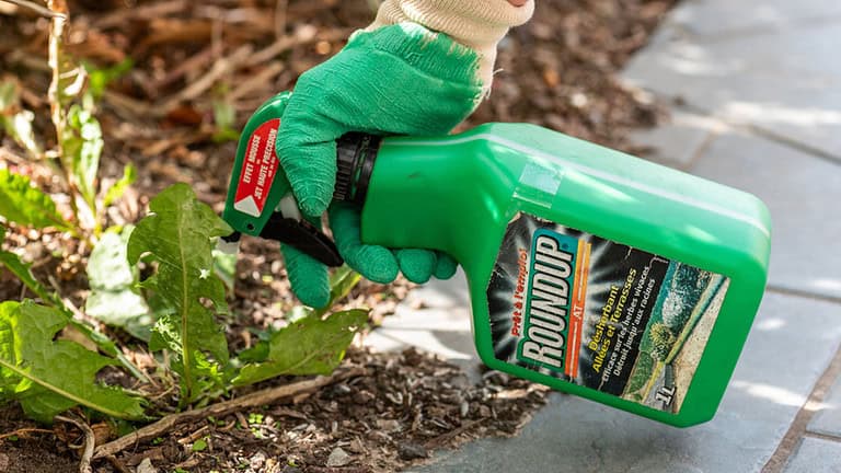 10 Tips for Managing Weeds Without Harsh Chemicals