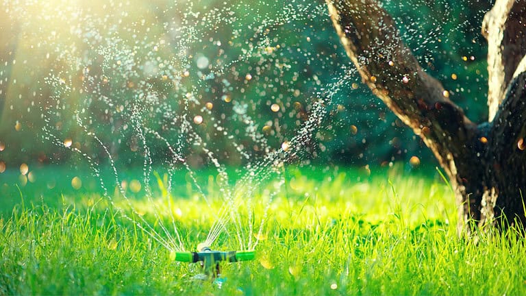 A water sprinkler spraying fine streams of water evenly over a green lawn, droplets sparkling in sunlight, outdoor garden setting with healthy grass