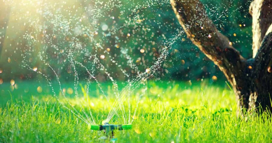 A water sprinkler spraying fine streams of water evenly over a green lawn, droplets sparkling in sunlight, outdoor garden setting with healthy grass