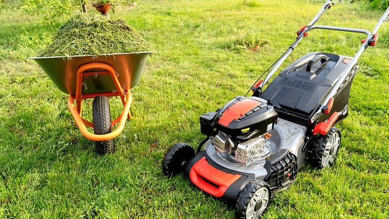 10 Old-School Lawn Care Habits That Outperform Modern Methods
