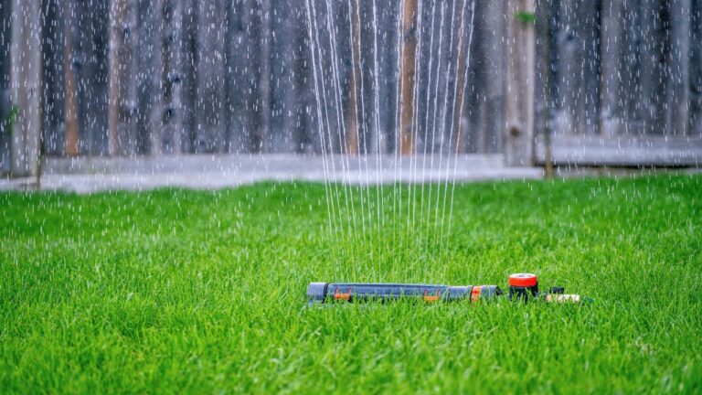 Maintaining a healthy lawn, an oscillating lawn sprinkler watering lush green grass, steady water streams spraying evenly