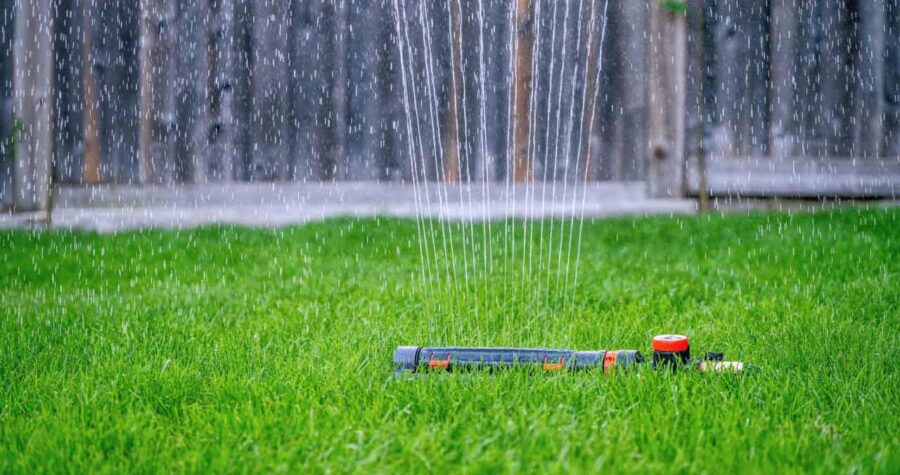 Maintaining a healthy lawn, an oscillating lawn sprinkler watering lush green grass, steady water streams spraying evenly