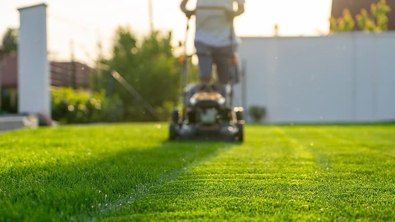 A person mowing a lawn with a push lawnmower, walking across freshly cut grass, with a neat stripe of mowed lawn visible, in a sunlit outdoor setting