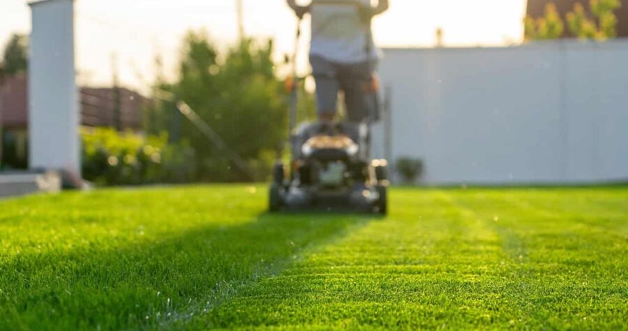 A person mowing a lawn with a push lawnmower, walking across freshly cut grass, with a neat stripe of mowed lawn visible, in a sunlit outdoor setting