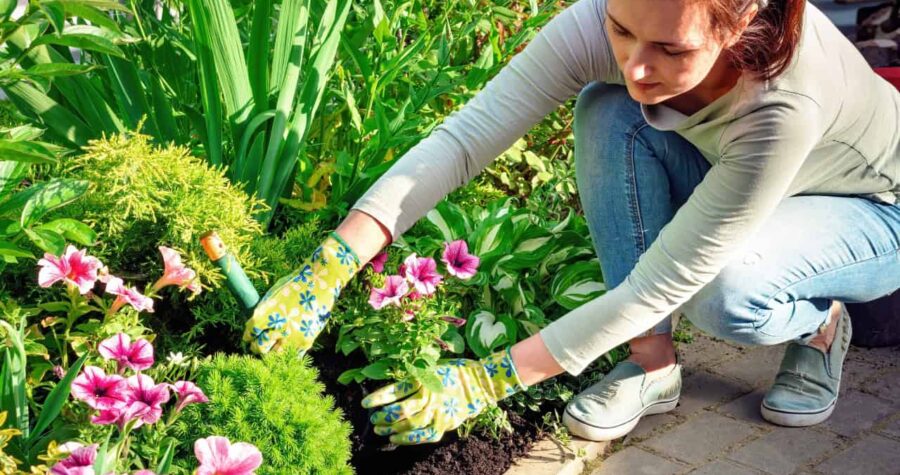 A person gardening, planting flowers in a garden bed, wearing gloves and casual clothes, tending to plants, holding a plant in their hand, surrounded by green plants