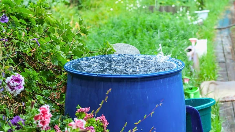 Blue rain barrel collecting water, overflowing due to rainfall, surrounded by green plants and flowers, used for water conservation in a garden