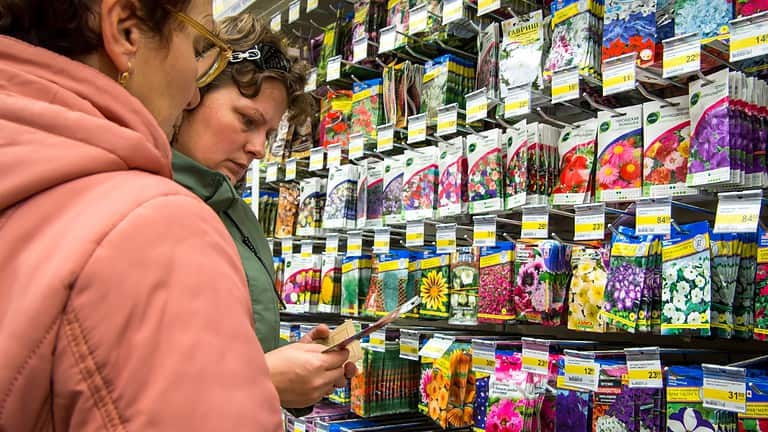 Person in pink shirt shopping at store shelf filled with colorful products, reading product label