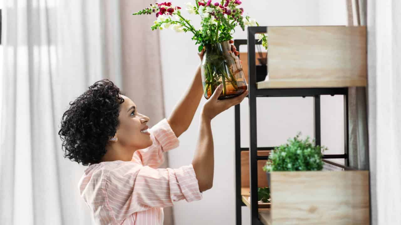 woman decorating, plant, household decor, woman smiling