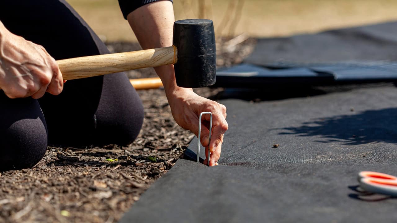 Close-up of a person installing landscape fabric, using a rubber mallet and a metal stake, securing the fabric to the ground, preventing weed growth, outdoor gardening work, mulch and soil visible around the area