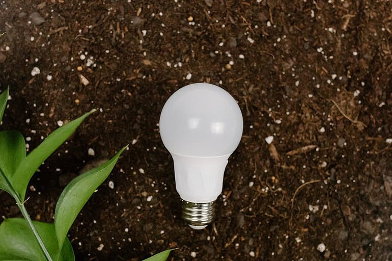 LED light bulb on dark soil, surrounded by green leaves, symbolizing energy efficiency and sustainability.