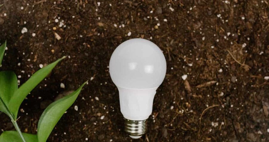 LED light bulb on dark soil, surrounded by green leaves, symbolizing energy efficiency and sustainability.