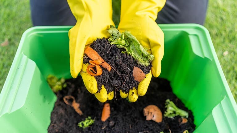 Composted food waste, hands holding nutrient-rich compost, vegetable scraps and organic matter, composting process, organic waste recycling