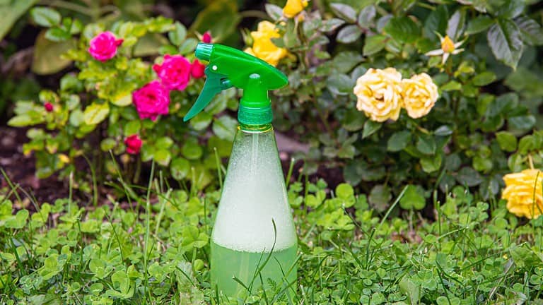 Green and white spray bottle in garden setting, colorful flowers and foliage in background
