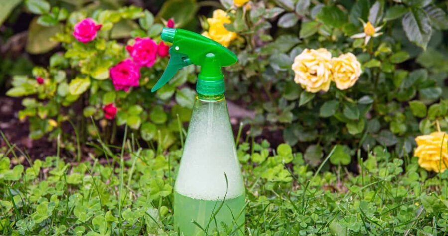Green and white spray bottle in garden setting, colorful flowers and foliage in background