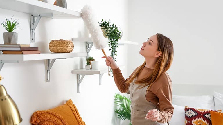 A woman dusting shelves with a duster, cleaning a white shelf with decorative plants, indoor cleaning task, maintaining a tidy living space, organizing home decor