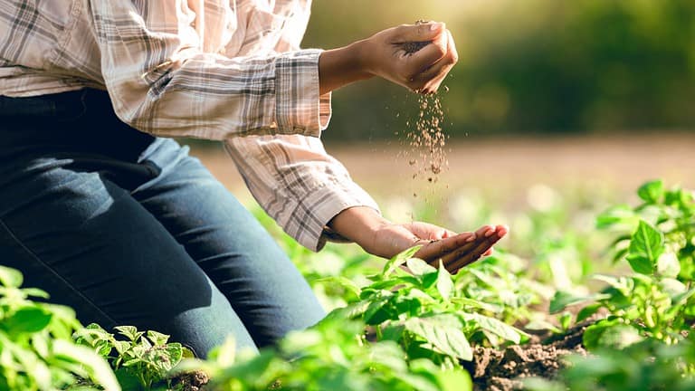 How to Fix Dead Soil in Your Garden: 13 Simple Steps to Revive Your Plants