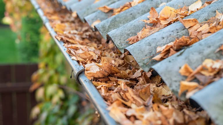 Close-up of a clogged gutter filled with dried brown leaves and debris, metal gutter edge visible, signs of blockage and potential water overflow