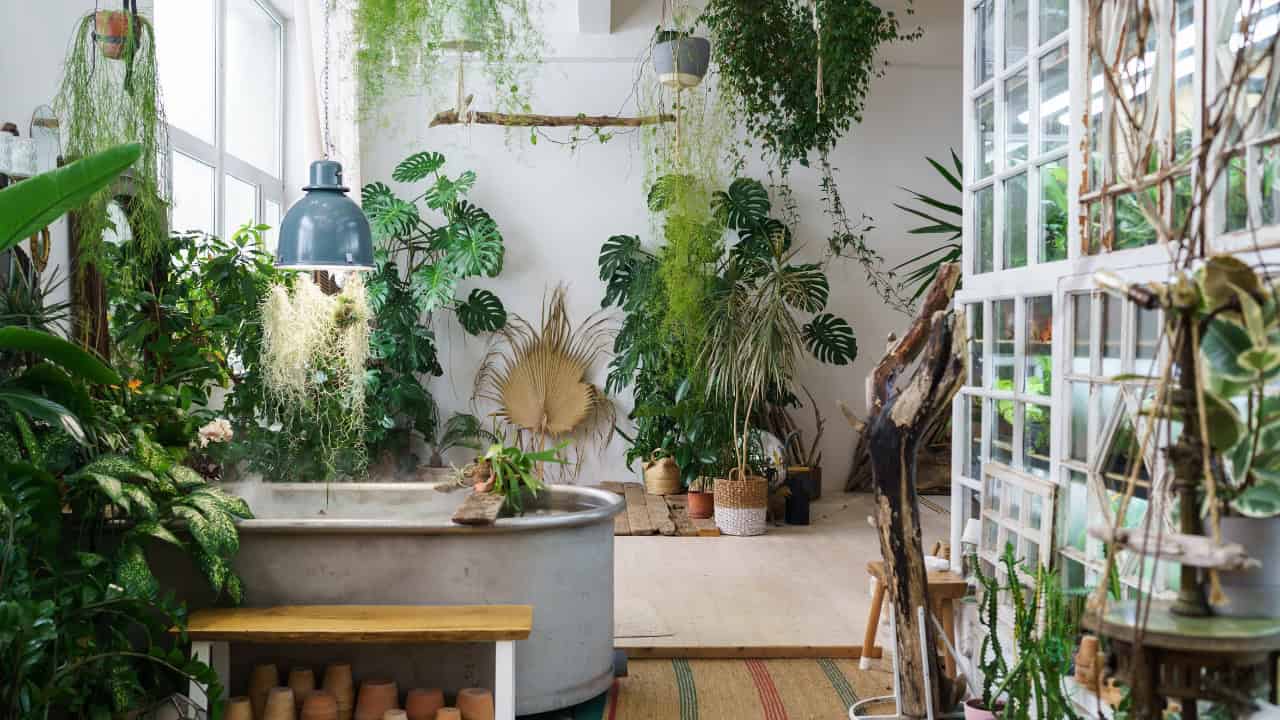 A cozy indoor space with a large metal bathtub, surrounded by various plants in pots, hanging greenery from the ceiling, a rustic wooden shelf, and a natural rug on the floor, creating a peaceful, nature-inspired atmosphere