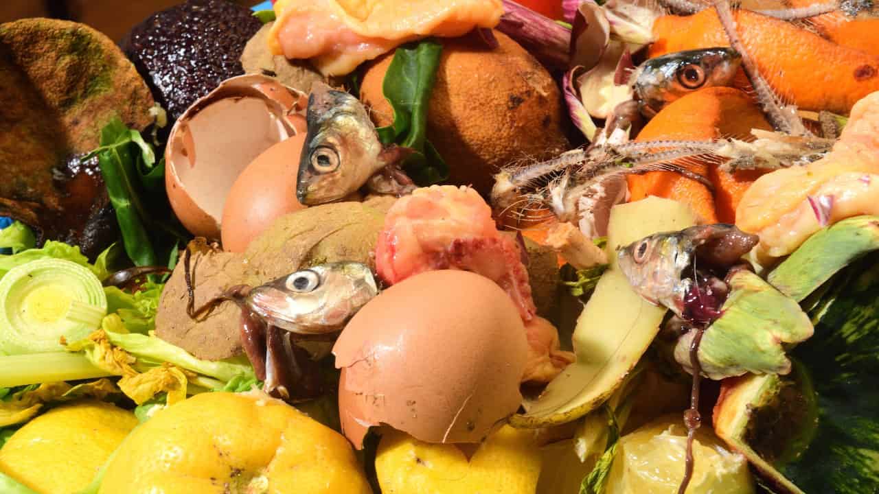 Kitchen scraps for compost, including eggshells, fish heads, vegetable peels, fruit rinds, and food waste, rich in nutrients for soil enrichment.