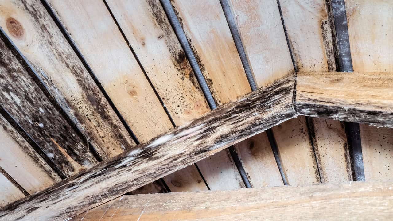 Weathered wooden planks showing decay, water damage, and potential rot on what appears to be outdoor decking or fencing