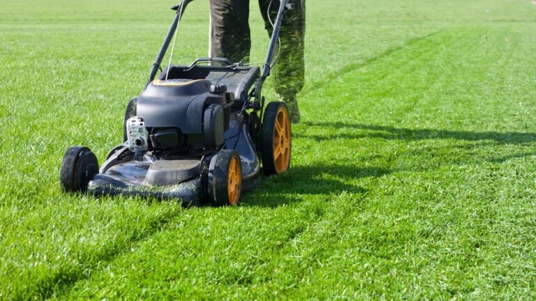 Person mowing the lawn, using a lawnmower, cutting grass in a well-maintained garden, trimming the lawn for neatness, maintaining a healthy lawn