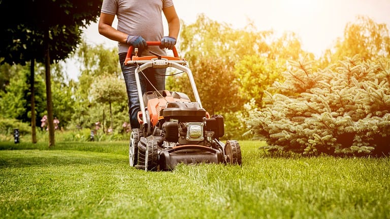 A person mowing the lawn with a gas-powered lawn mower, wearing gloves, cutting through grass, bright sunlight in the background, green plants and trees surrounding the area, tidy garden maintenance, outdoor activity in a residential setting
