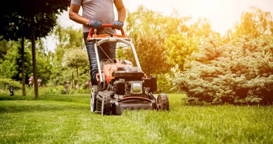 A person mowing the lawn with a gas-powered lawn mower, wearing gloves, cutting through grass, bright sunlight in the background, green plants and trees surrounding the area, tidy garden maintenance, outdoor activity in a residential setting