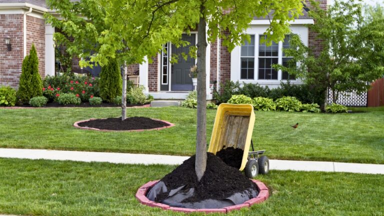 13 Common Landscaping Mistakes That Could Lower Your Home’s Value