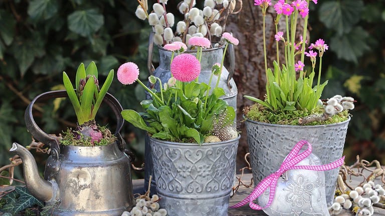 Decorative metal planters with green plants, pink garden ornaments, rustic garden setting, metal watering can nearby