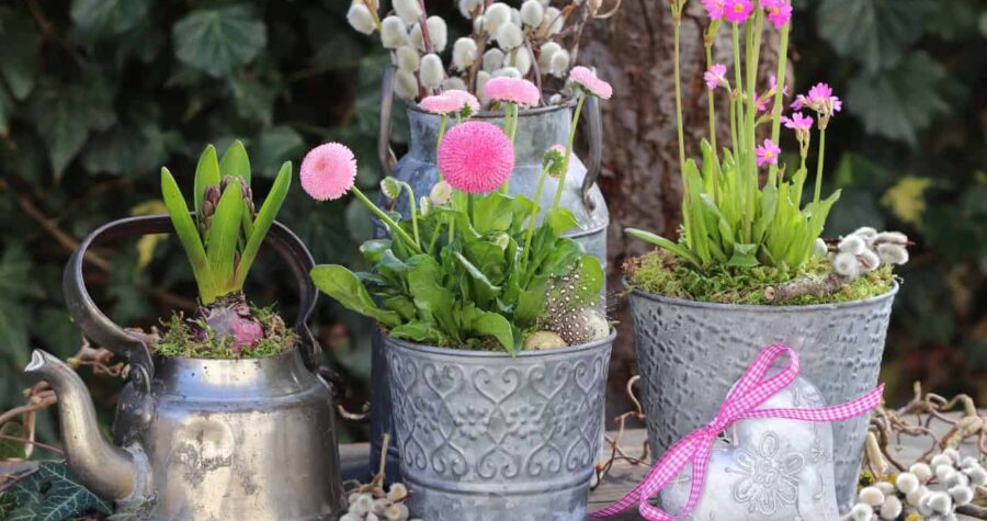 Decorative metal planters with green plants, pink garden ornaments, rustic garden setting, metal watering can nearby