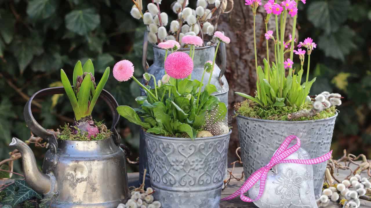 Decorative metal planters with green plants, pink garden ornaments, rustic garden setting, metal watering can nearby