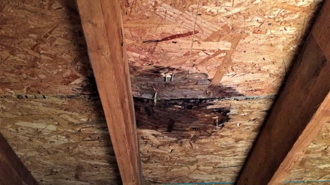Water-stained attic ceiling showing signs of roof leak