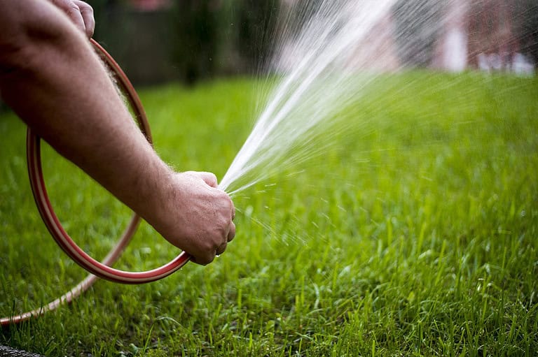 Summer Lawn Mistakes That Are a Total Buzzkill