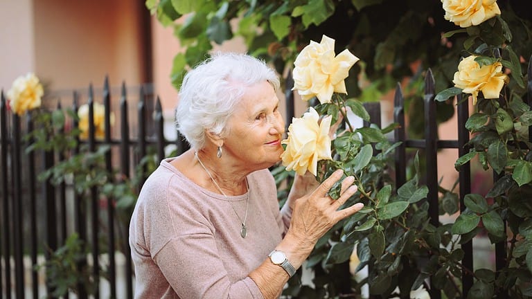 11 Plants That Will Make Your Yard Smell Amazing All Summer