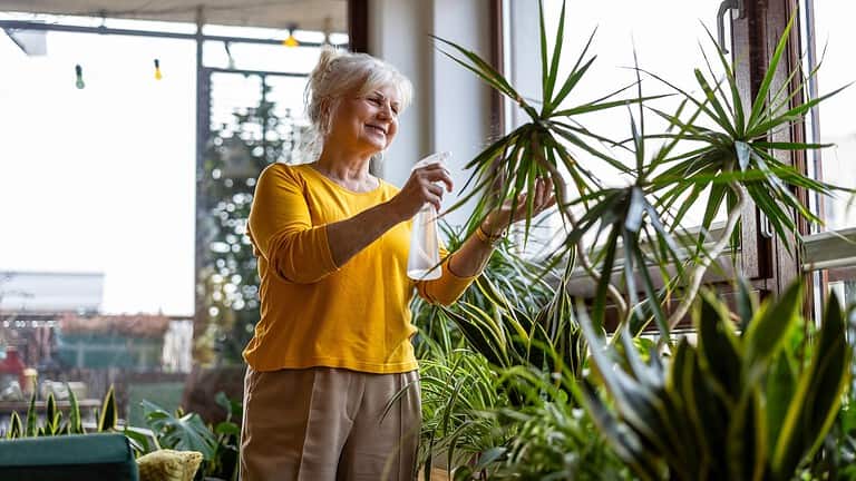 10 Proven Benefits of Having Indoor Plants