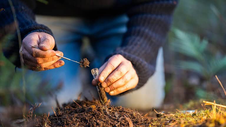 Hands collecting soil samples, using tweezers, placing soil in a glass vial, conducting a soil test, analyzing soil quality outdoors