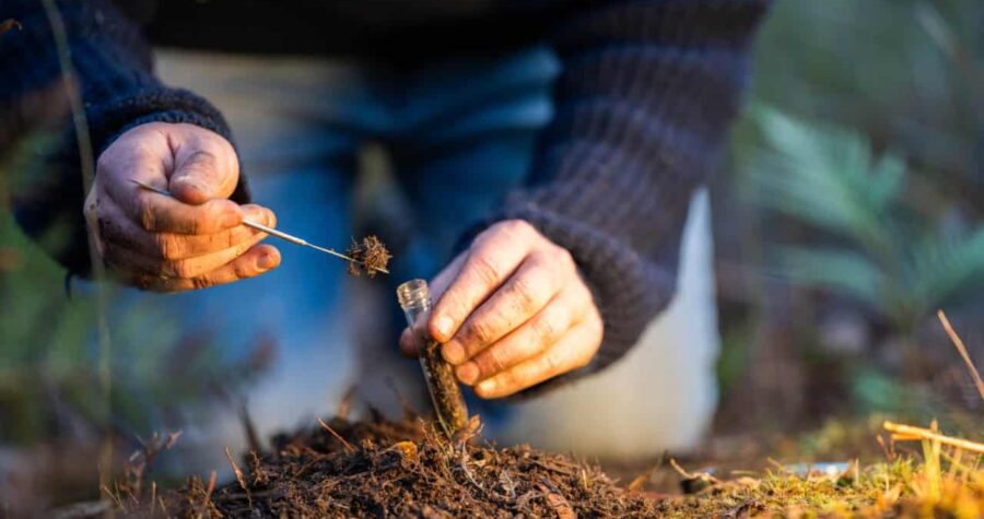 Hands collecting soil samples, using tweezers, placing soil in a glass vial, conducting a soil test, analyzing soil quality outdoors