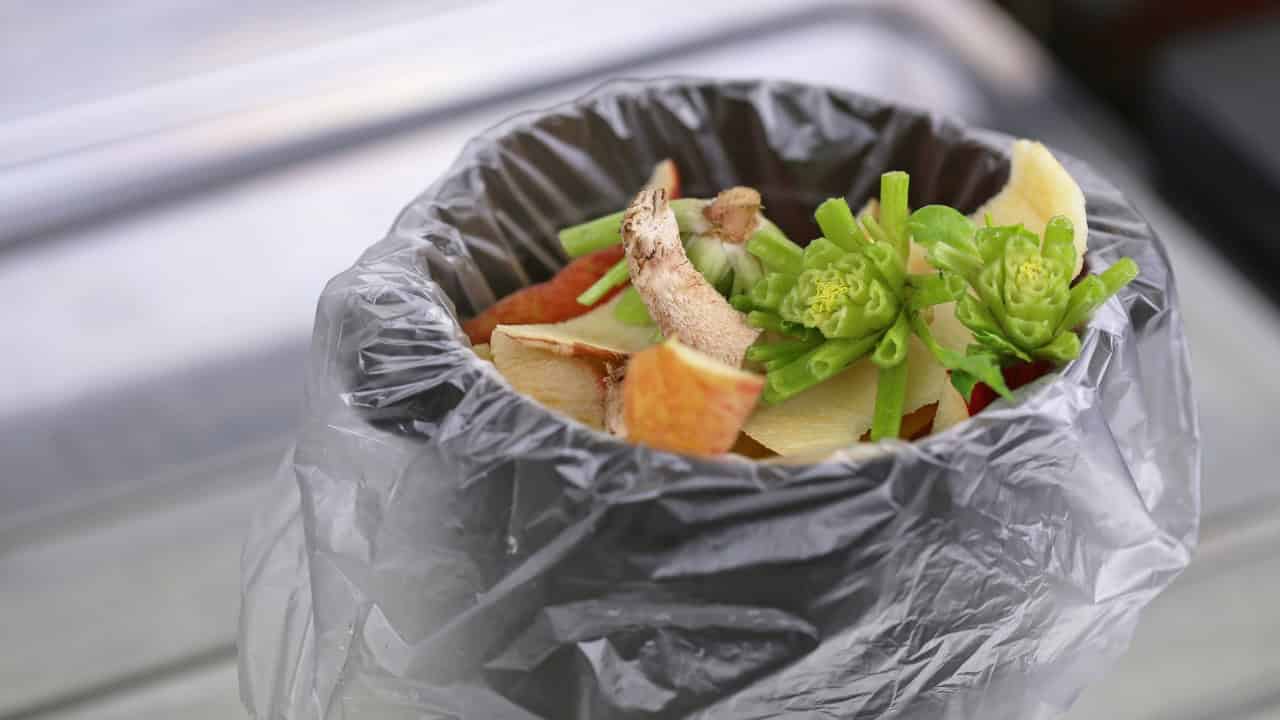Food scraps including vegetable peels and greens in a black trash bag, organic waste in a garbage can, discarded kitchen waste, waste from food preparation, biodegradable materials collected for disposal, food remnants inside a plastic bag