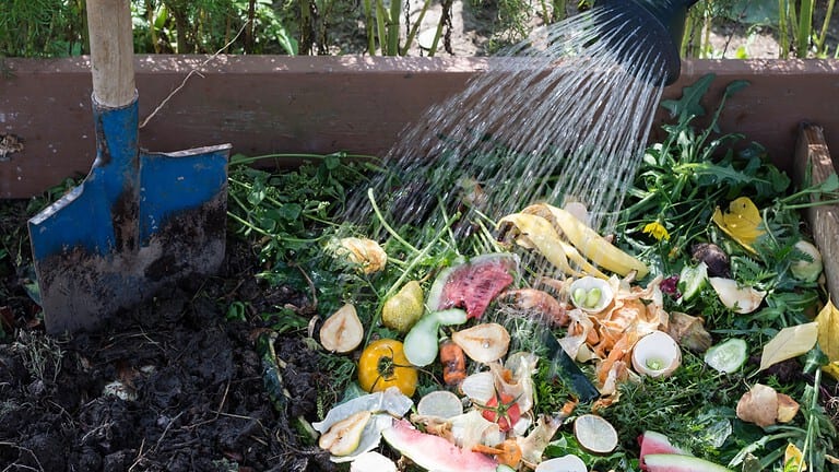 Compost bin with food scraps including banana peels, eggshells, vegetable waste, and organic matter decomposing on dark soil